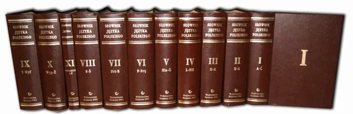 Słownik Doroszewskiego online: Przewodnik po ikonie polszczyzny