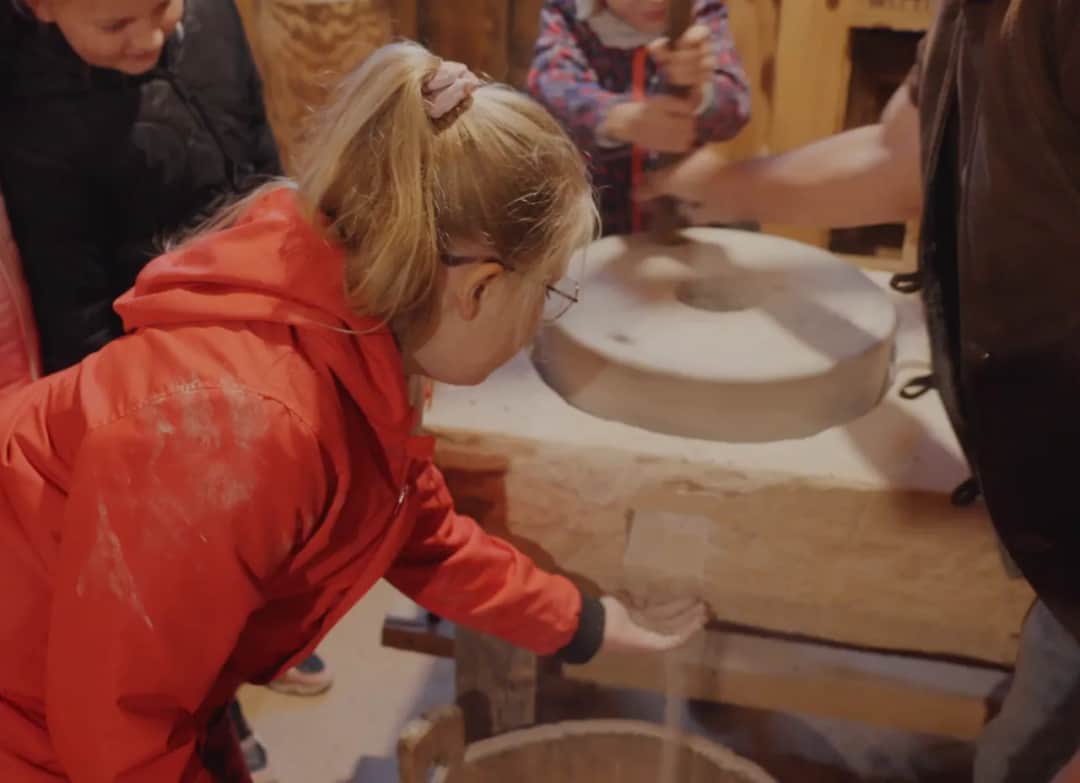 Zagroda edukacyjna: Jak założyć i zdobyć 150 tys. zł dotacji?