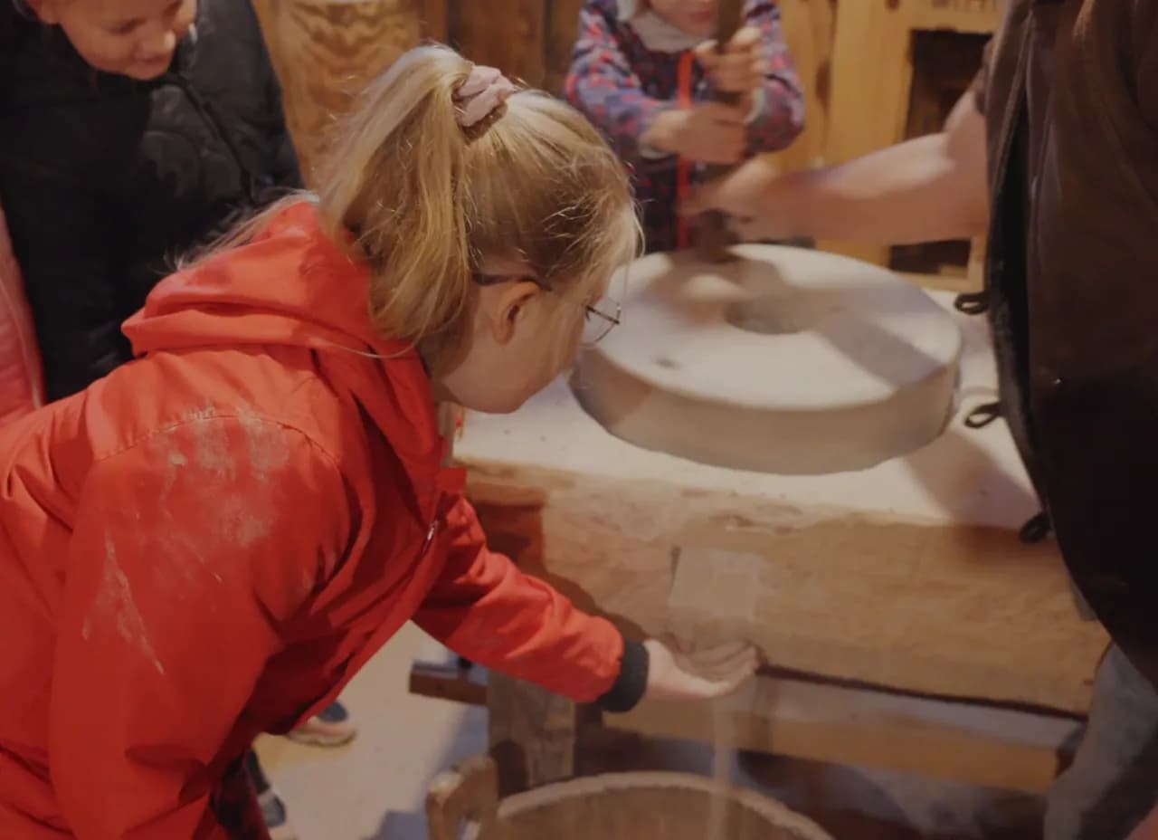 Zagroda edukacyjna: Jak założyć i zdobyć 150 tys. zł dotacji?