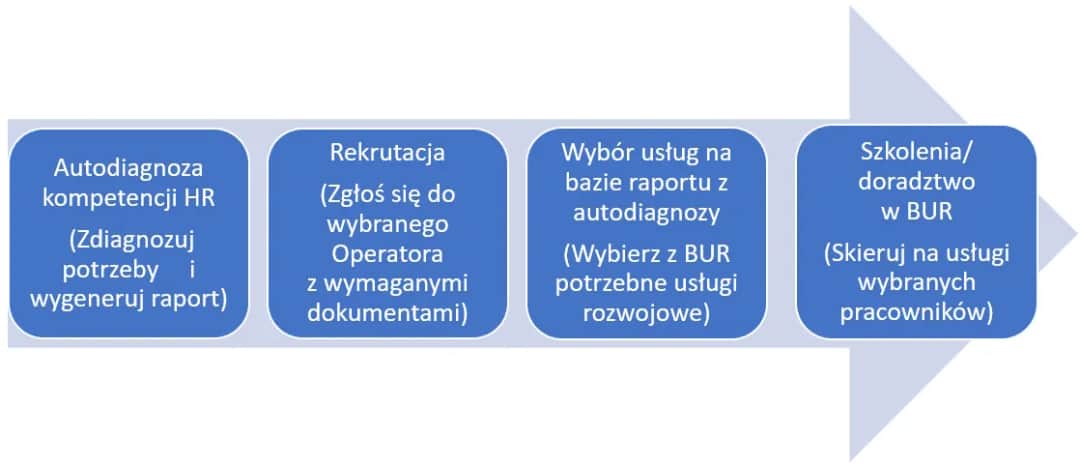 Dofinansowanie z BUR: Kto może skorzystać? Przewodnik dla MŚP