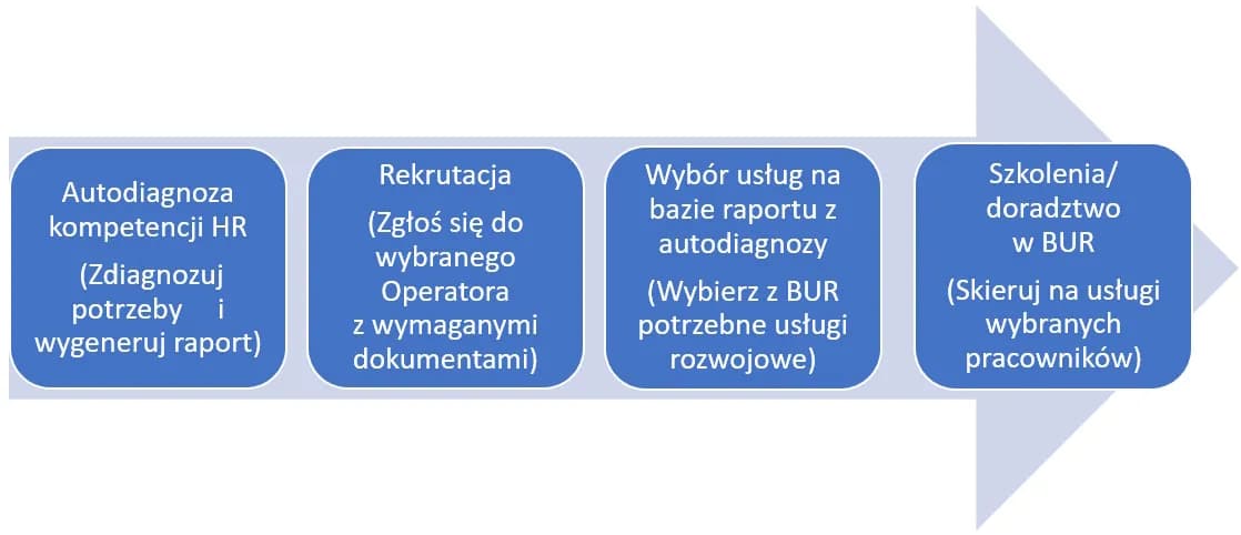 Dofinansowanie z BUR: Kto może skorzystać? Przewodnik dla MŚP